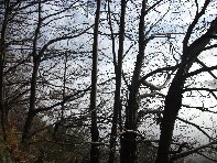 nte Fontane-201011128 011